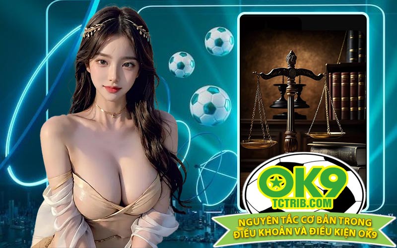 Nguyên tắc cơ bản trong điều khoản và điều kiện OK9